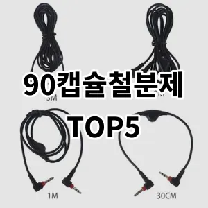 2024 90캡슐철분제 추천 Top5