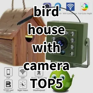 2024 Top5 Cost Effective bird house with camera