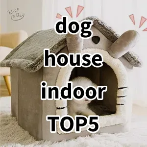 2024 Top5 Cost Effective dog house indoor