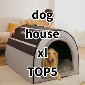 2024 Top5 Cost Effective dog house xl