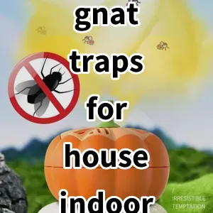 2024 Top5 Cost Effective gnat traps for house indoor