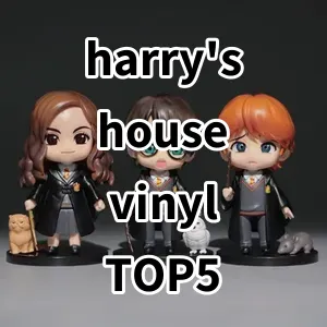 2024 Top5 Cost Effective harry's house vinyl