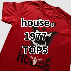 2024 Top5 Cost Effective house 1977