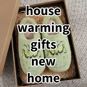 2024 Top5 Cost Effective house warming gifts new home