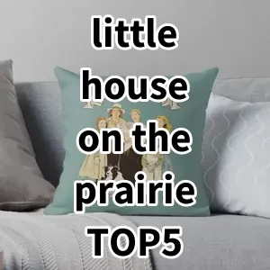 2024 Top5 Cost Effective little house on the prairie