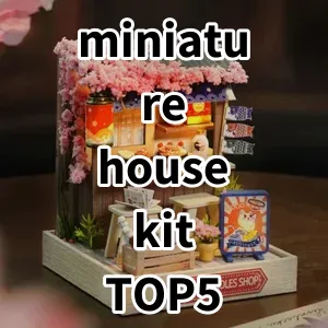 2024 Top5 Cost Effective miniature house kit