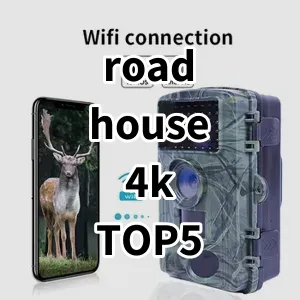 2024 Top5 Cost Effective road house 4k