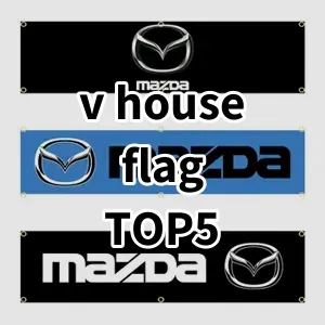 2024 Top5 Cost Effective v house flag