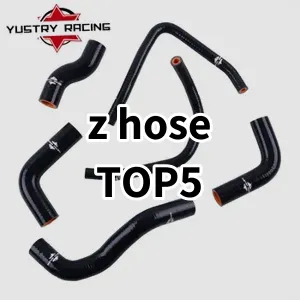 2024 Top5 Cost Effective z hose