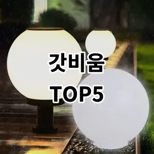 2024 갓비움 추천 Top5