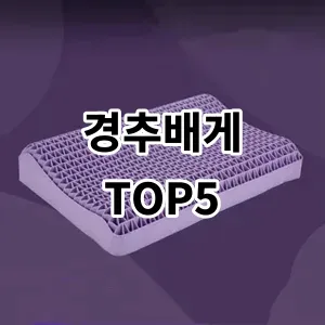 2024 경추배게 추천 Top5