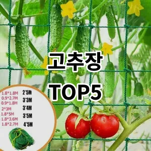 2024 고추장 추천 Top5