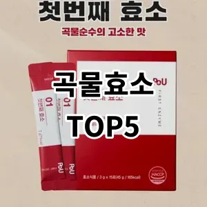 2024 곡물효소 추천 Top5