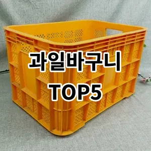 2024 과일바구니 추천 Top5