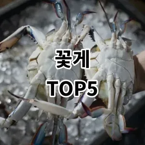 2024 꽃게 추천 Top5