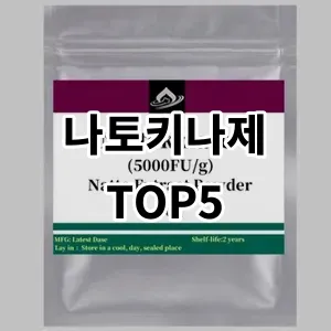 2024 나토키나제 추천 Top5