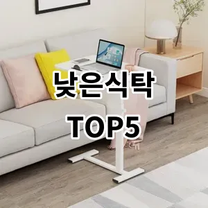 2024 낮은식탁 추천 Top5