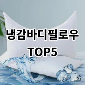 2024 냉감바디필로우 추천 Top5