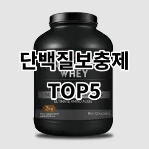 2024 단백질보충제 추천 Top5