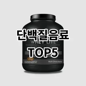 2024 단백질음료 추천 Top5