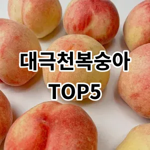 2024 대극천복숭아 추천 Top5