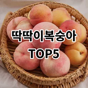 2024 딱딱이복숭아 추천 Top5