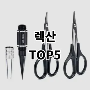 2024 렉산 추천 Top5