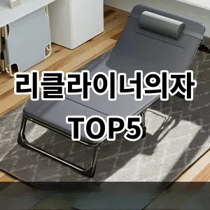 2024 리클라이너의자 추천 Top5