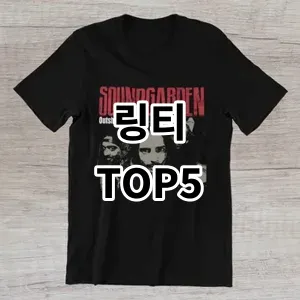 2024 링티 추천 Top5