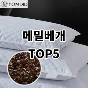 2024 메밀베개 추천 Top5