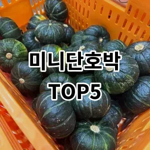 2024 미니단호박 추천 Top5