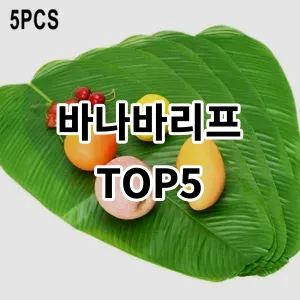 2024 바나바리프 추천 Top5