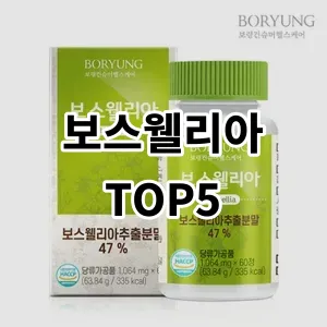 2024 보스웰리아 추천 Top5