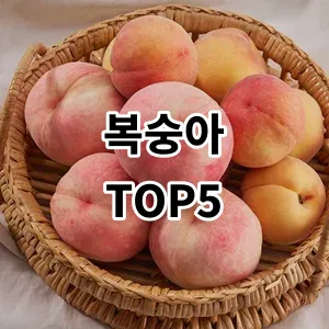 2024 복숭아 추천 Top5