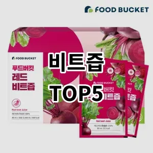 2024 비트즙 추천 Top5