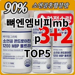 2024 뼈엔엠비피mbp 추천 Top5