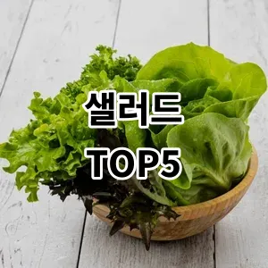 2024 샐러드 추천 Top5