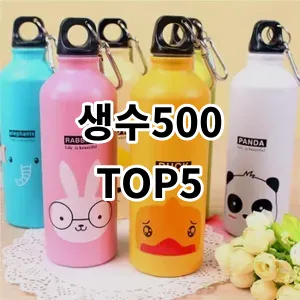 2024 생수500 추천 Top5