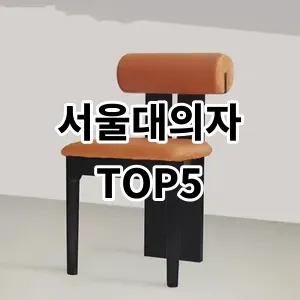 2024 서울대의자 추천 Top5