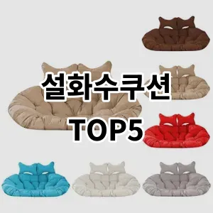 2024 설화수쿠션 추천 Top5