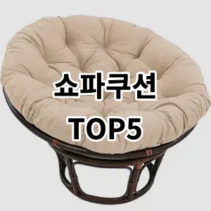 2024 쇼파쿠션 추천 Top5