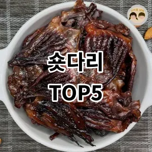 2024 숏다리 추천 Top5