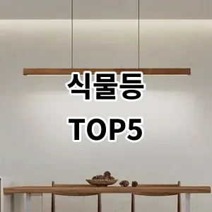 2024 식물등 추천 Top5