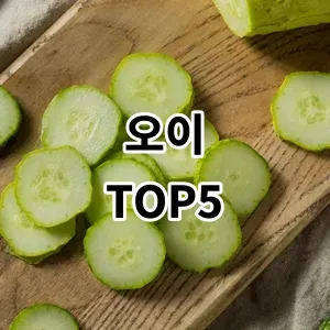 2024 오이 추천 Top5