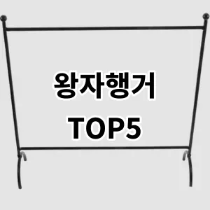 2024 왕자행거 추천 Top5