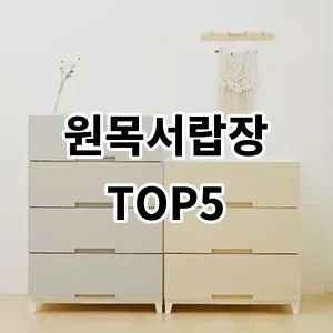 2024 원목서랍장 추천 Top5