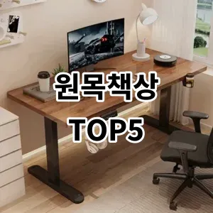 2024 원목책상 추천 Top5