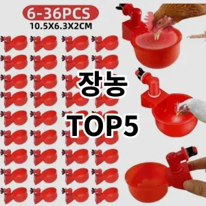 2024 장농 추천 Top5