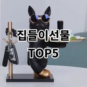 2024 집들이선물 추천 Top5