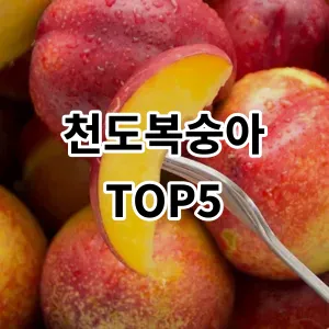 2024 천도복숭아 추천 Top5